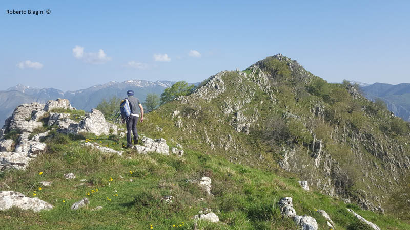 PENNA DI LUCCHIO: VETTA 1